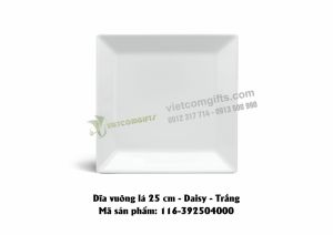 ĐĨA  VUÔNG 14